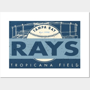 Tampa Bay Rays Banner by Buck Tee Originals Posters and Art